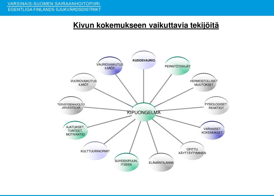 JÄRJESTELMÄ KIPUONGELMA FYSIOLOGISET REAKTIOT AJATUKSET, TUNTEET, MOTIVAATIO