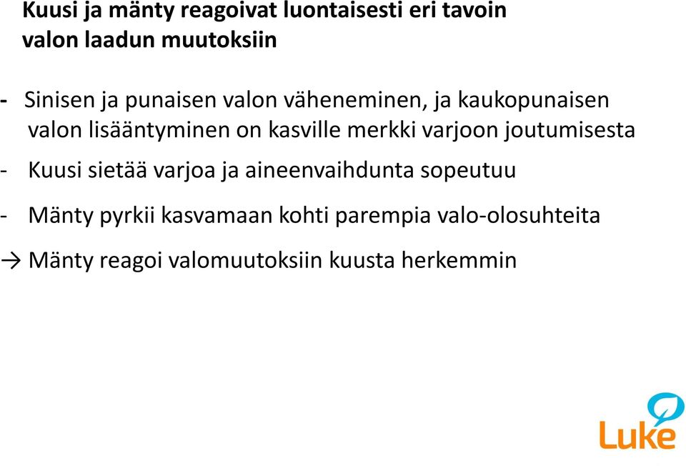 varjoon joutumisesta - Kuusi sietää varjoa ja aineenvaihdunta sopeutuu - Mänty pyrkii