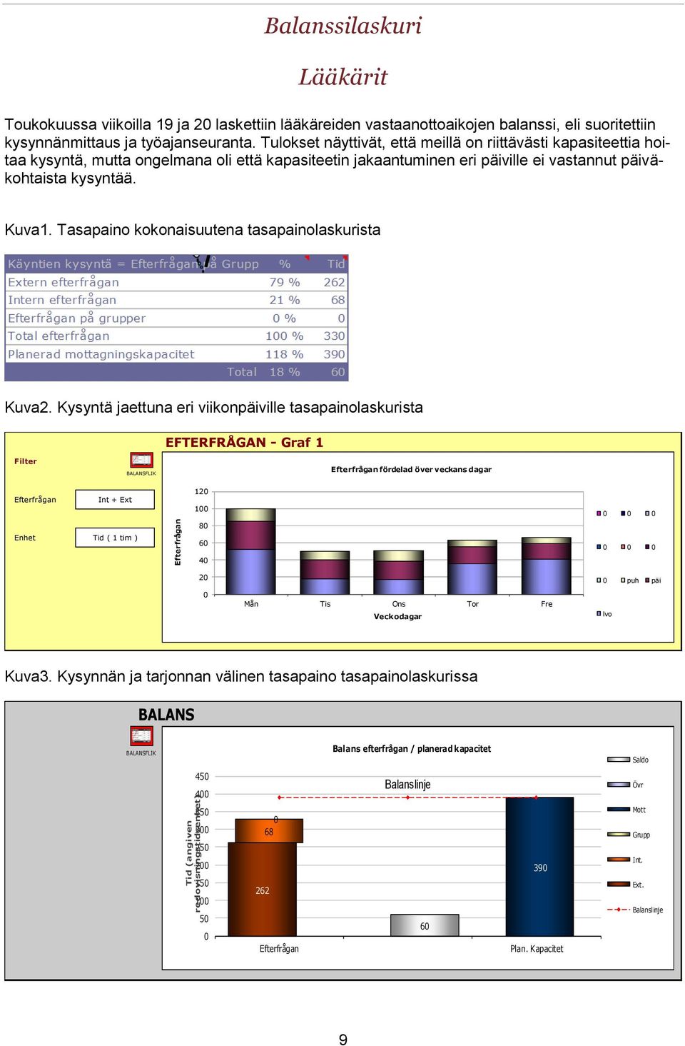 Kuva1. Tasapaino kokonaisuutena tasapainolaskurista Kuva2.