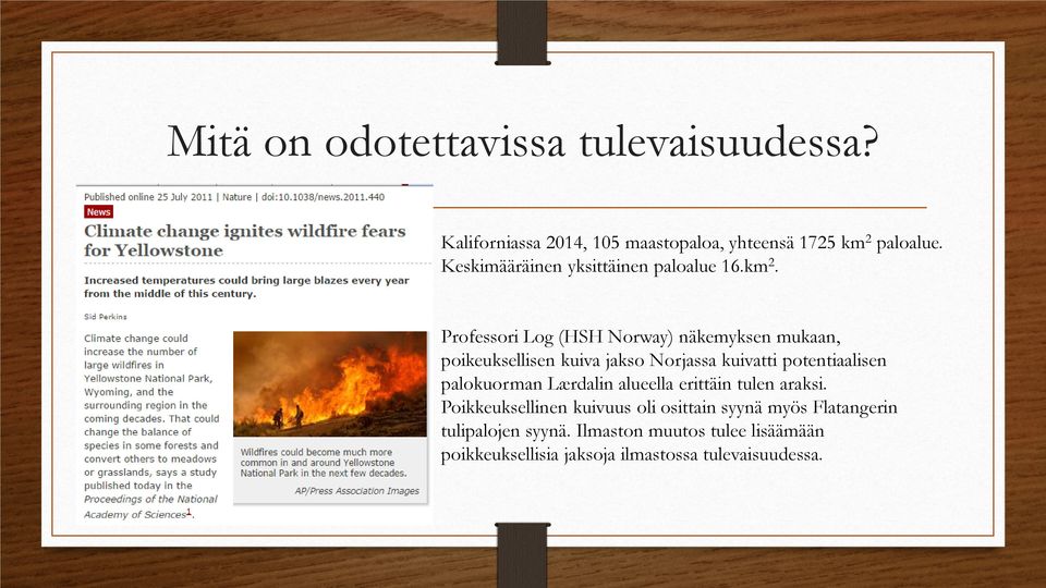 Professori Log (HSH Norway) näkemyksen mukaan, poikeuksellisen kuiva jakso Norjassa kuivatti potentiaalisen