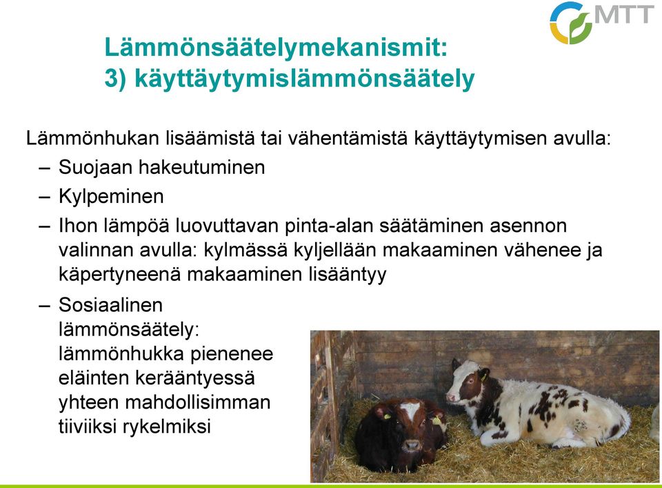 asennon valinnan avulla: kylmässä kyljellään makaaminen vähenee ja käpertyneenä makaaminen lisääntyy