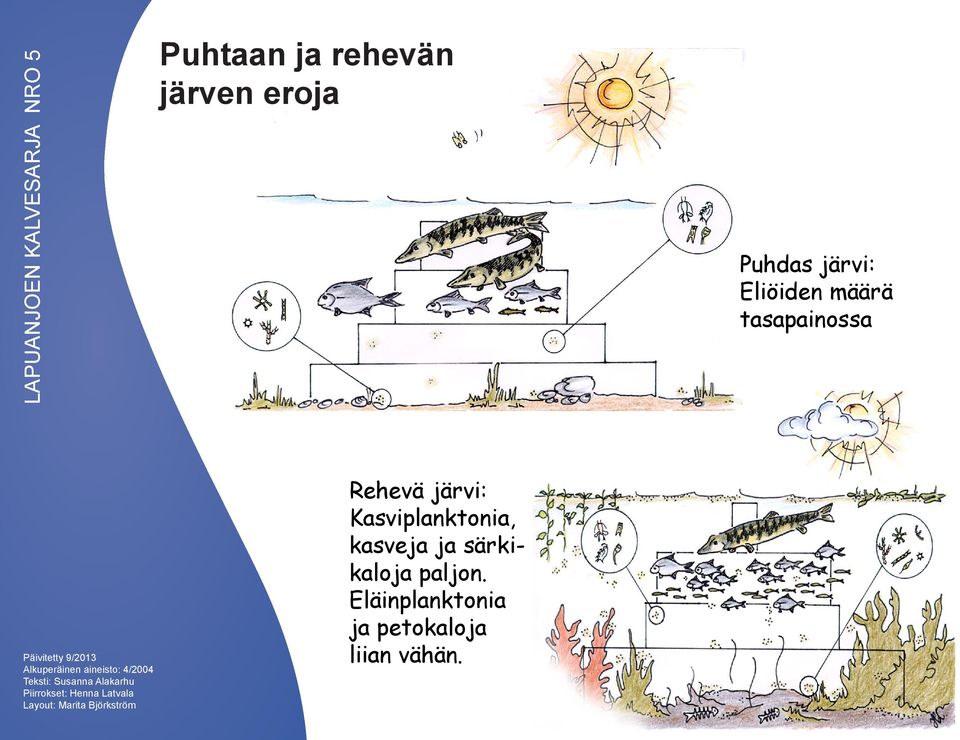 Piirrokset: Henna Latvala Rehevä järvi: Kasviplanktonia,