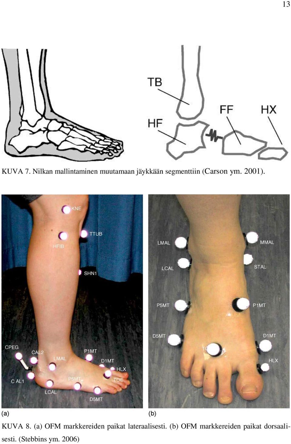 segmenttiin (Carson ym. 2001). KUVA 8.