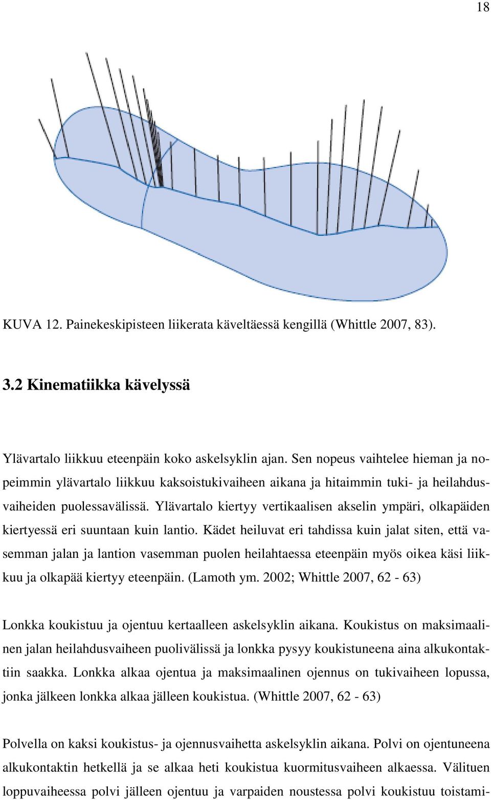 Ylävartalo kiertyy vertikaalisen akselin ympäri, olkapäiden kiertyessä eri suuntaan kuin lantio.