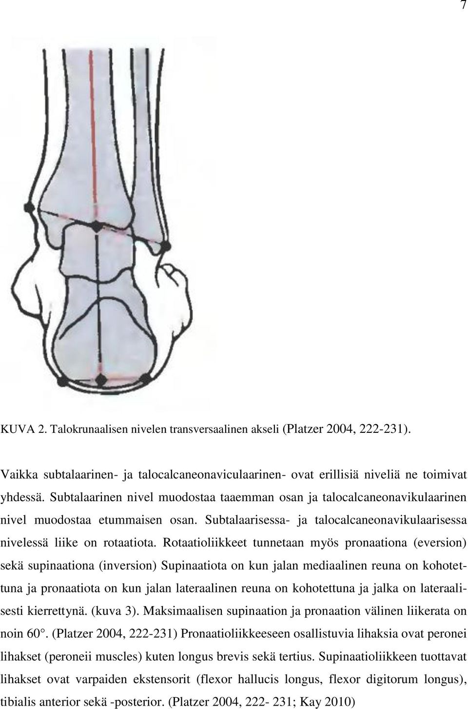 Rotaatioliikkeet tunnetaan myös pronaationa (eversion) sekä supinaationa (inversion) Supinaatiota on kun jalan mediaalinen reuna on kohotettuna ja pronaatiota on kun jalan lateraalinen reuna on