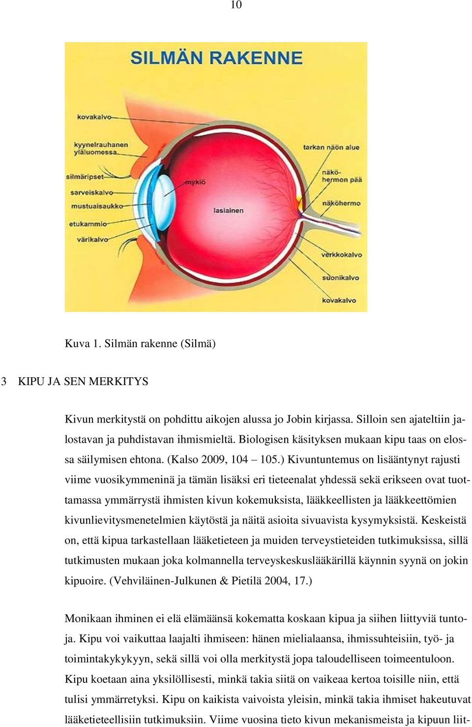 ) Kivuntuntemus on lisääntynyt rajusti viime vuosikymmeninä ja tämän lisäksi eri tieteenalat yhdessä sekä erikseen ovat tuottamassa ymmärrystä ihmisten kivun kokemuksista, lääkkeellisten ja