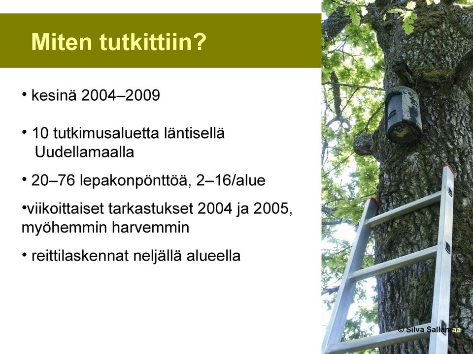 Uudellamaalla 20 76 lepakonpönttöä, 2 16/alue