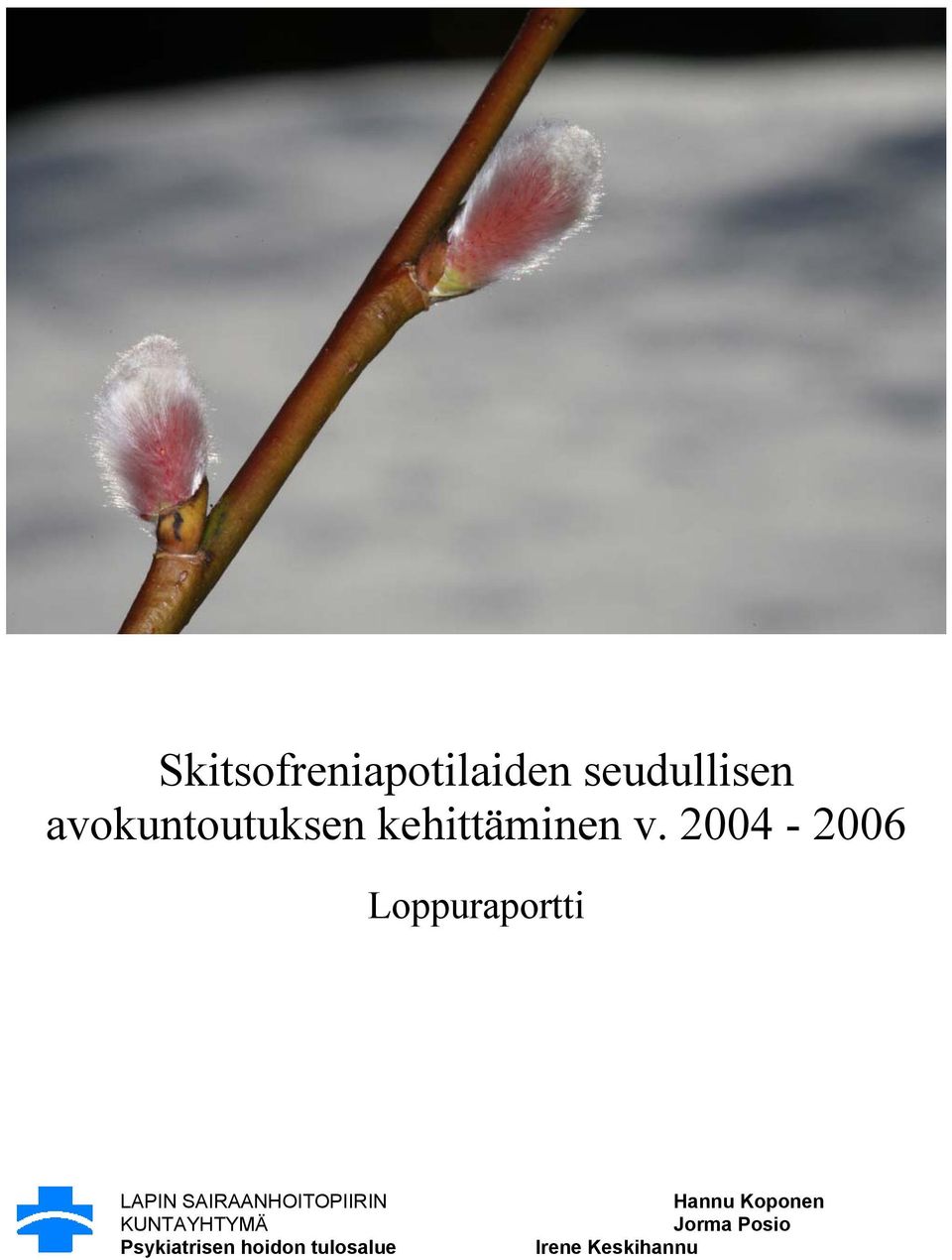 2004-2006 Loppuraportti LAPIN SAIRAANHOITOPIIRIN