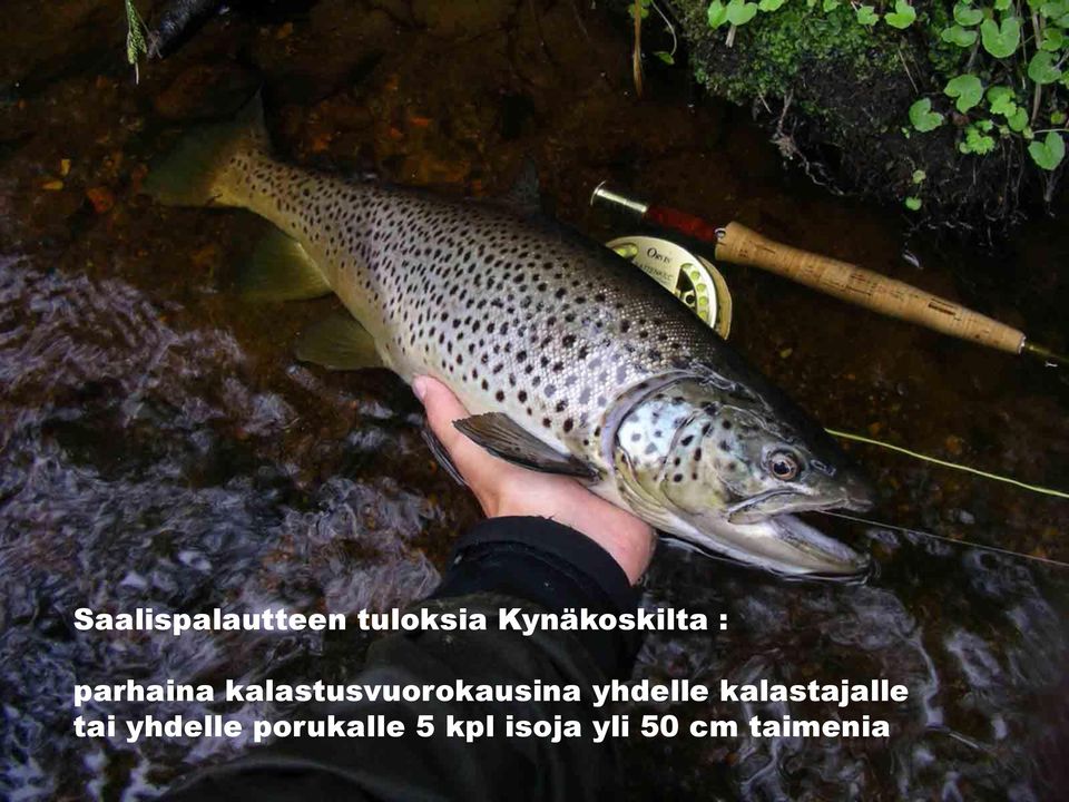 kalastusvuorokausina yhdelle