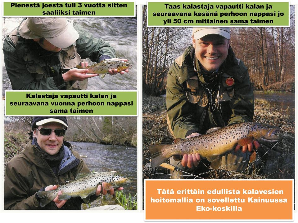 Kalastaja vapautti kalan ja seuraavana vuonna perhoon nappasi sama taimen Tätä