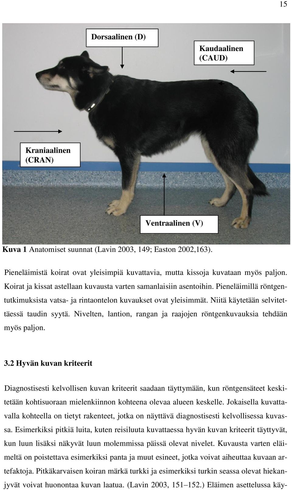 Pieneläimillä röntgentutkimuksista vatsa- ja rintaontelon kuvaukset ovat yleisimmät. Niitä käytetään selvitettäessä taudin syytä.