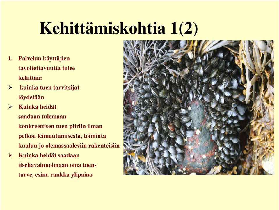 löydetään Kuinka heidät saadaan tulemaan konkreettisen tuen piiriin ilman pelkoa