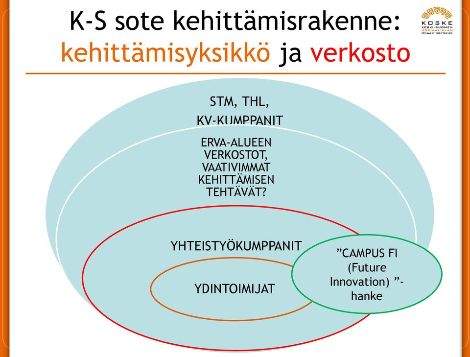 VERKOSTOT, VAATIVIMMAT KEHITTÄMISEN TEHTÄVÄT?