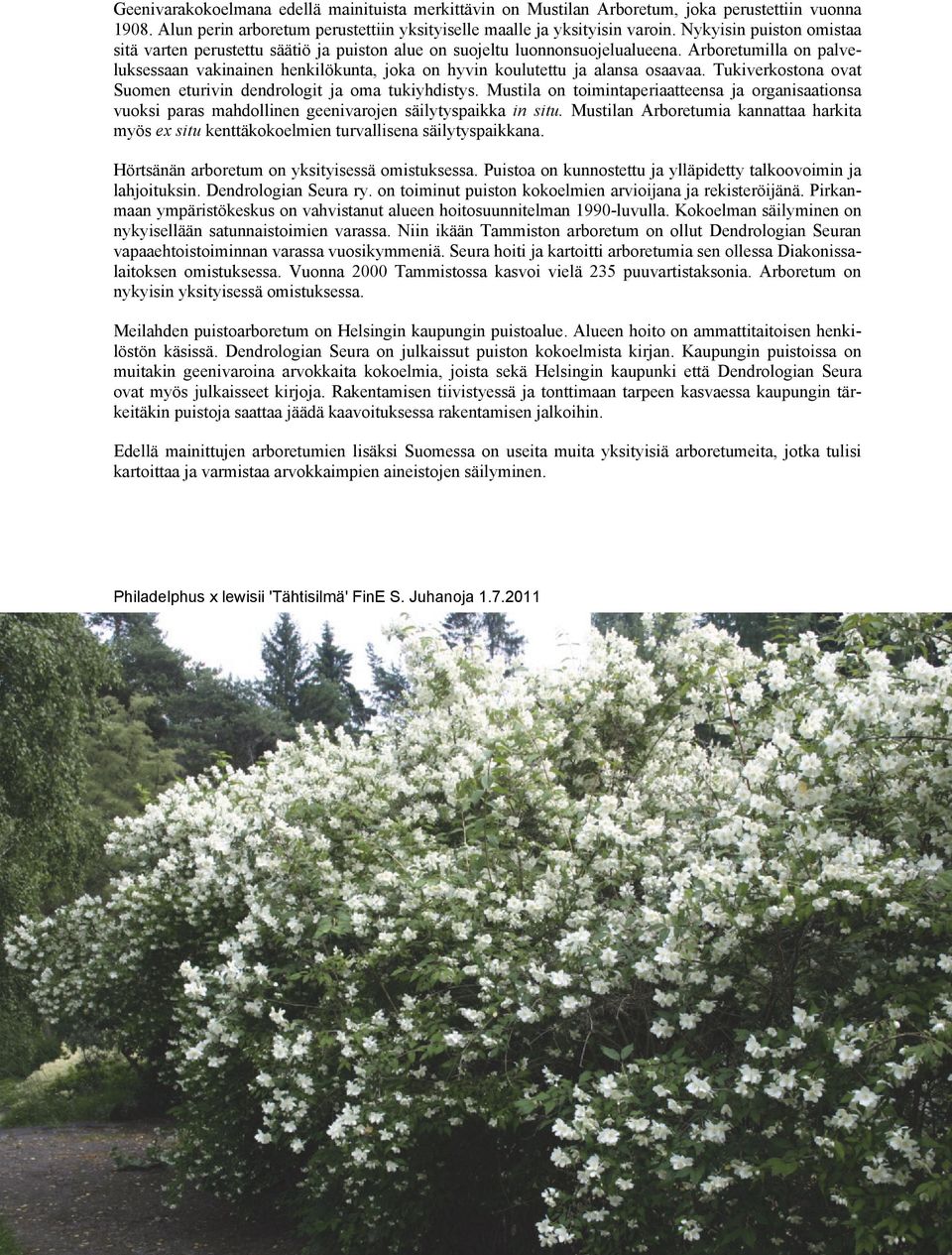 Arboretumilla on palveluksessaan vakinainen henkilökunta, joka on hyvin koulutettu ja alansa osaavaa. Tukiverkostona ovat Suomen eturivin dendrologit ja oma tukiyhdistys.