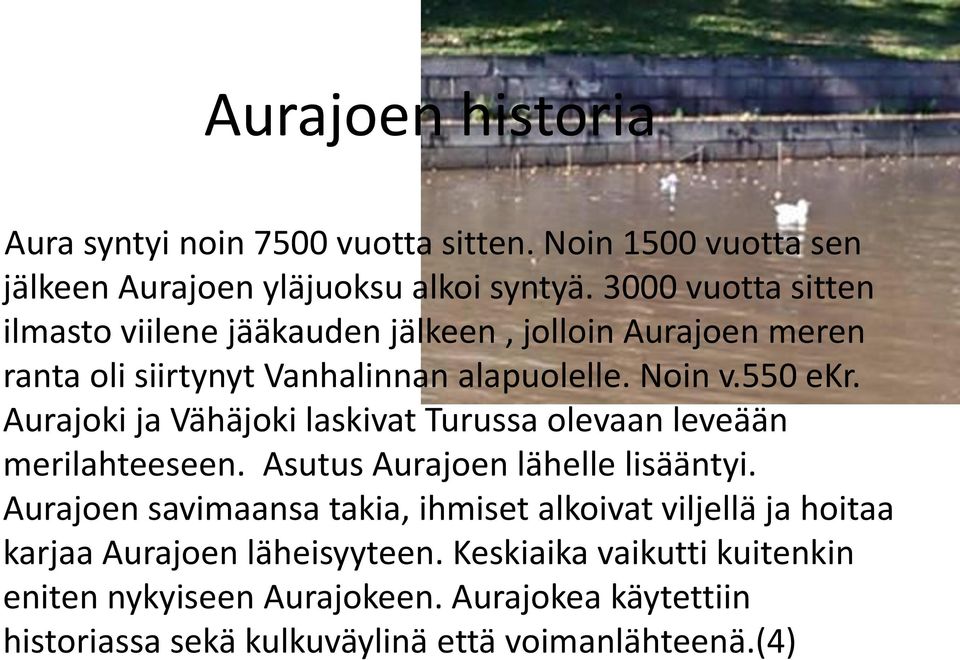 Aurajoki ja Vähäjoki laskivat Turussa olevaan leveään merilahteeseen. Asutus Aurajoen lähelle lisääntyi.