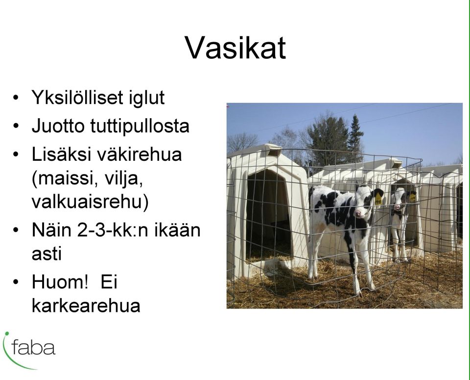 (maissi, vilja, valkuaisrehu) Näin