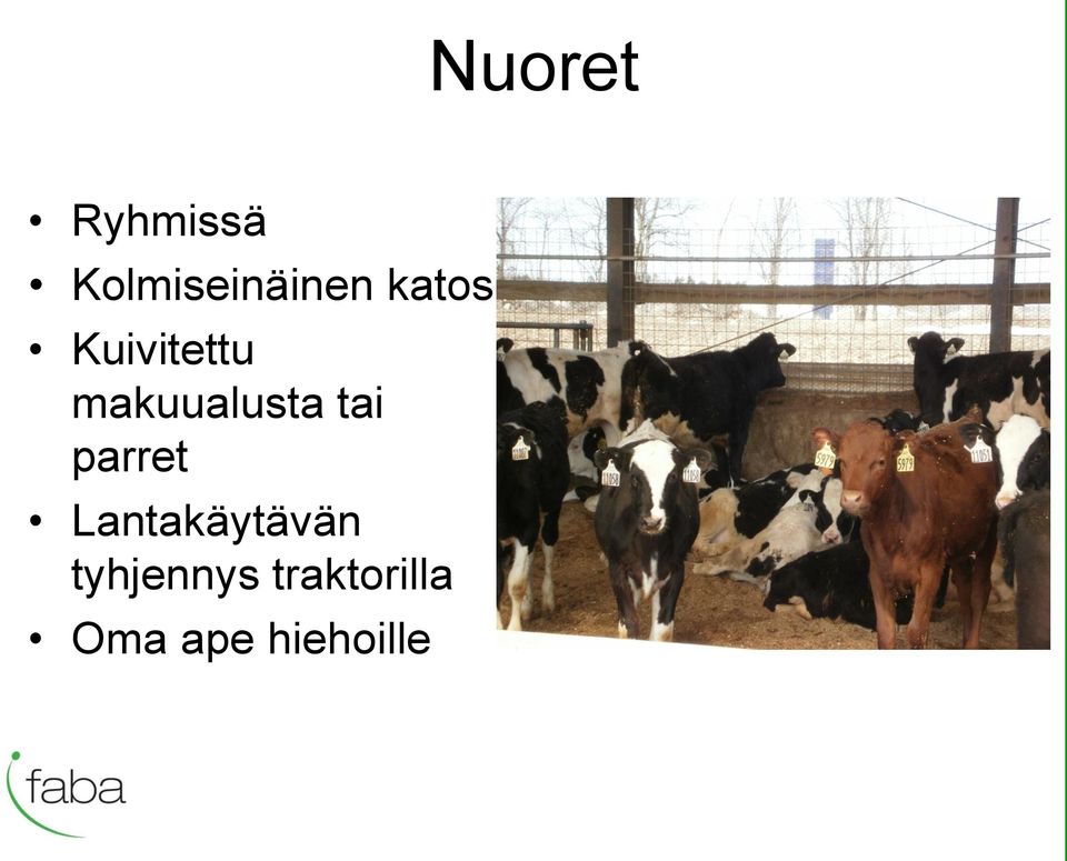 tai parret Lantakäytävän