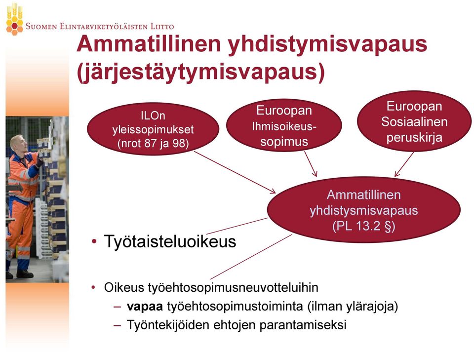 Työtaisteluoikeus Ammatillinen yhdistysmisvapaus (PL 13.