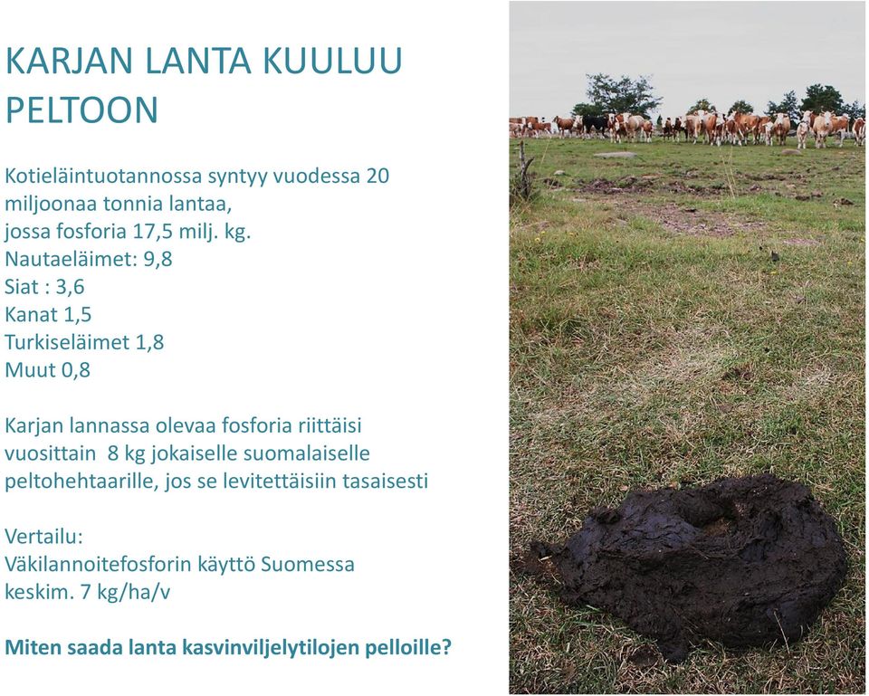 Nautaeläimet: 9,8 Siat : 3,6 Kanat 1,5 Turkiseläimet 1,8 Muut 0,8 Karjan lannassa olevaa fosforia riittäisi