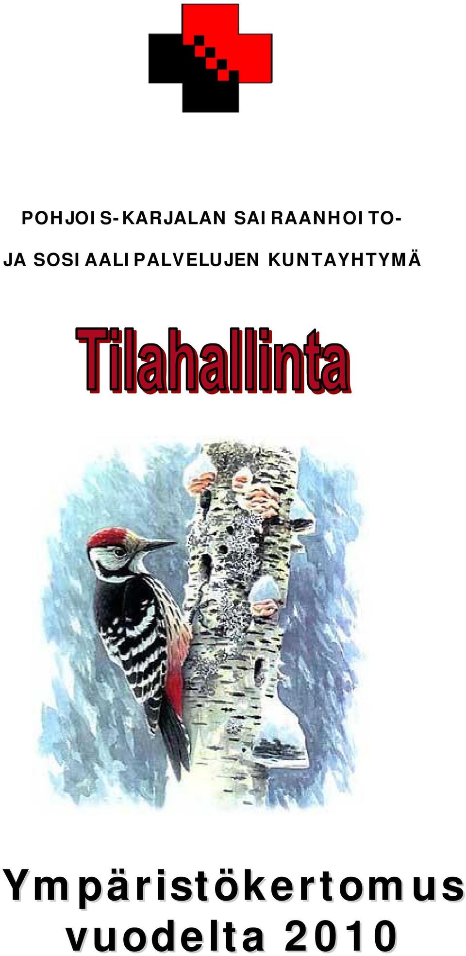 SOSIAALIPALVELUJEN