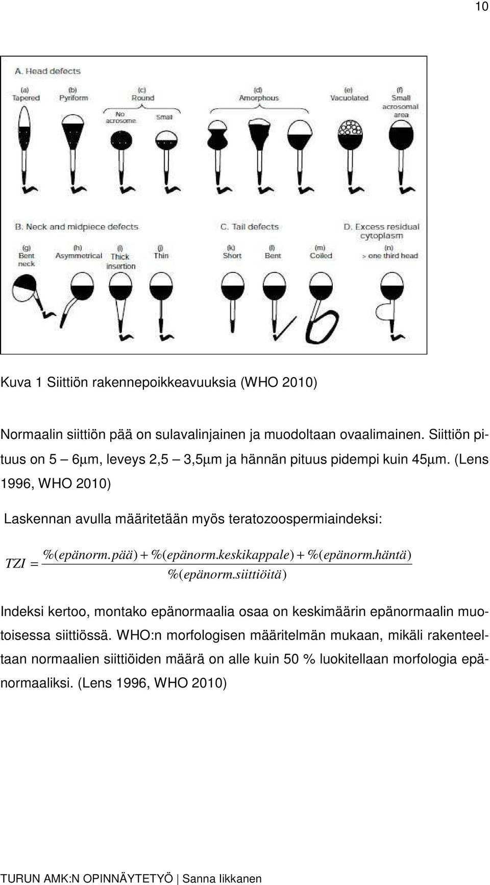 (Lens 1996, WHO 2010) Laskennan avulla määritetään myös teratozoospermiaindeksi: %( epänorm. pää) + %( epänorm. keskikappale) + %( epänorm.