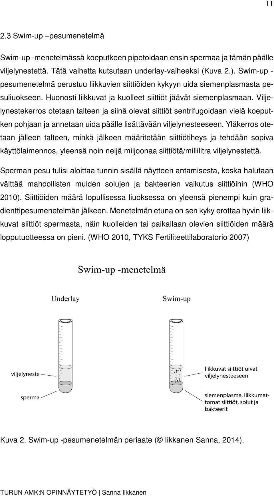 Viljelynestekerros otetaan talteen ja siinä olevat siittiöt sentrifugoidaan vielä koeputken pohjaan ja annetaan uida päälle lisättävään viljelynesteeseen.