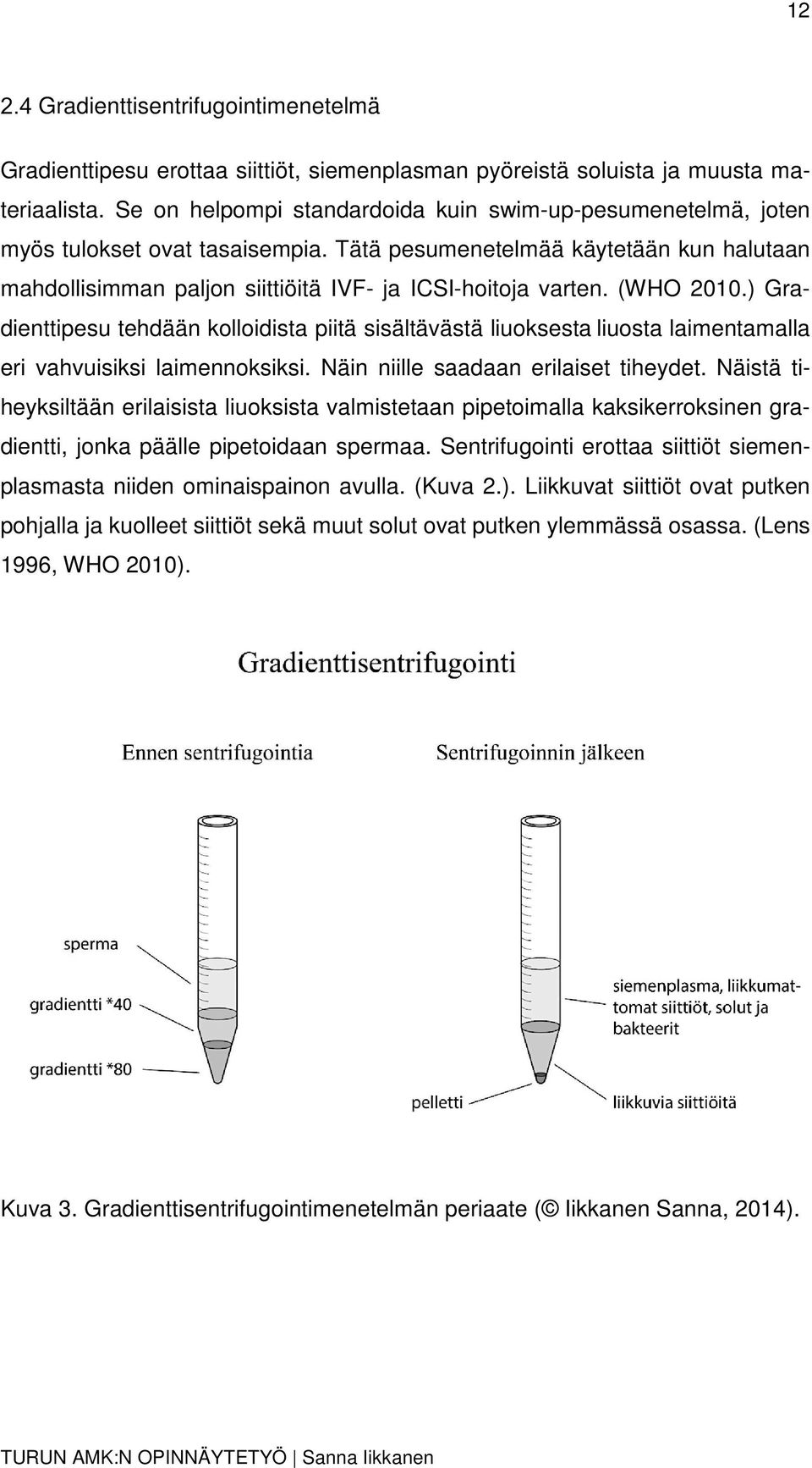 (WHO 2010.) Gradienttipesu tehdään kolloidista piitä sisältävästä liuoksesta liuosta laimentamalla eri vahvuisiksi laimennoksiksi. Näin niille saadaan erilaiset tiheydet.