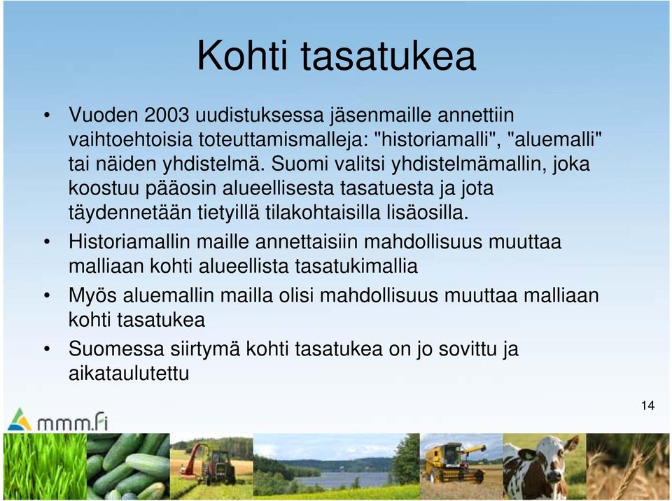 Suomi valitsi yhdistelmämallin, joka koostuu pääosin alueellisesta tasatuesta ja jota täydennetään tietyillä tilakohtaisilla