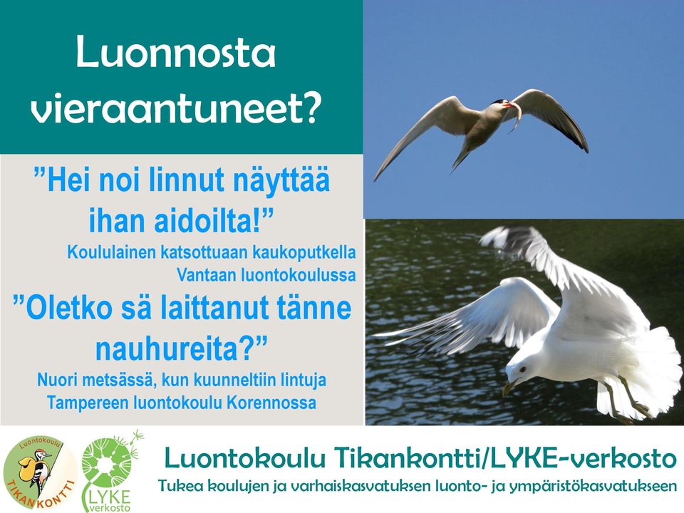 laittanut tänne nauhureita?