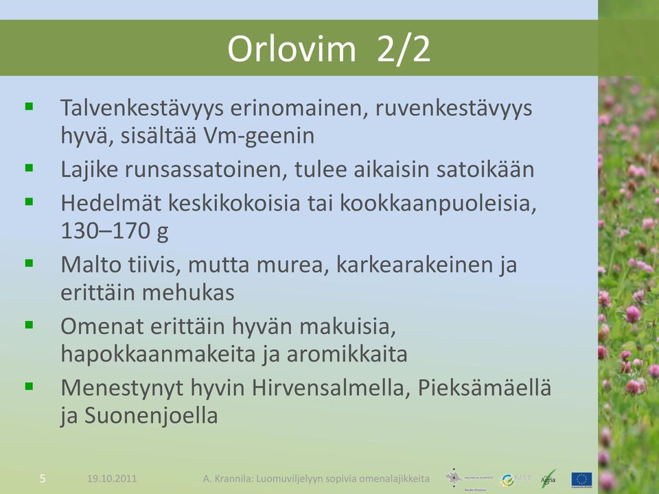 Malto tiivis, mutta murea, karkearakeinen ja erittäin mehukas Omenat erittäin hyvän makuisia,
