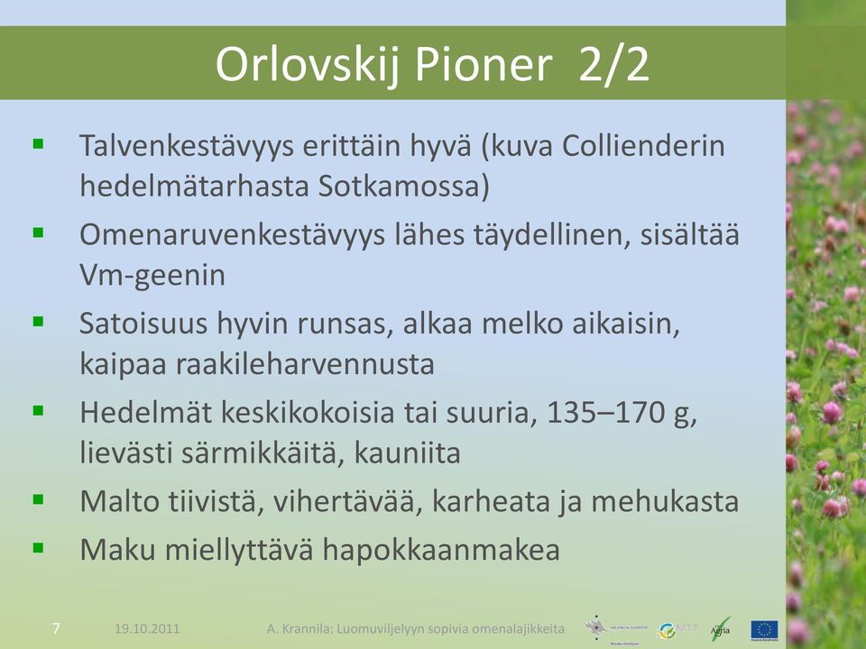 aikaisin, kaipaa raakileharvennusta Hedelmät keskikokoisia tai suuria, 135 170 g, lievästi