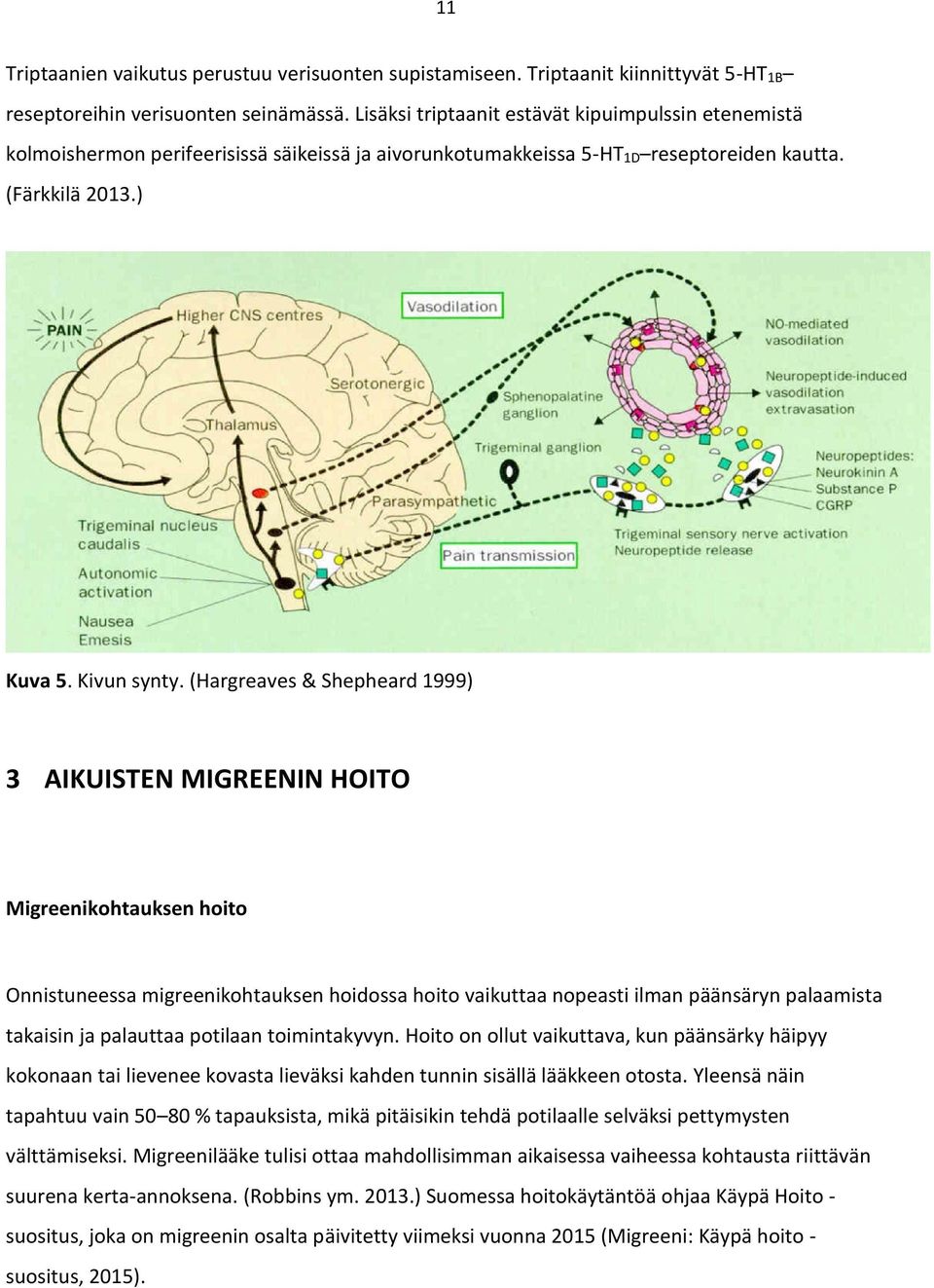 (Hargreaves & Shepheard 1999) 3 AIKUISTEN MIGREENIN HOITO Migreenikohtauksen hoito Onnistuneessa migreenikohtauksen hoidossa hoito vaikuttaa nopeasti ilman päänsäryn palaamista takaisin ja palauttaa