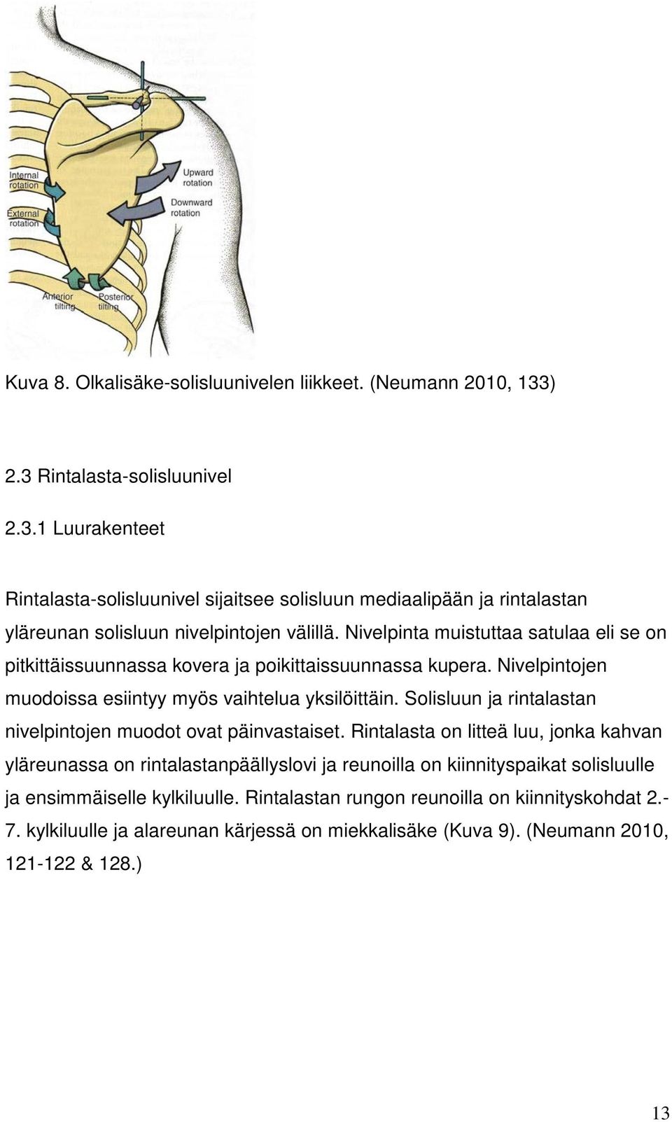 Nivelpinta muistuttaa satulaa eli se on pitkittäissuunnassa kovera ja poikittaissuunnassa kupera. Nivelpintojen muodoissa esiintyy myös vaihtelua yksilöittäin.