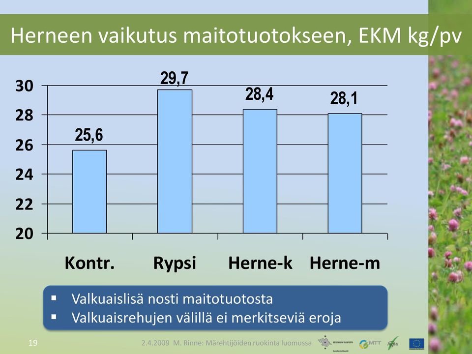 Rypsi Herne-k Herne-m Valkuaislisä nosti maitotuotosta