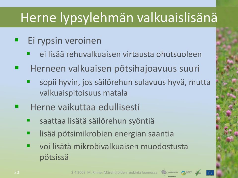 valkuaispitoisuus matala Herne vaikuttaa edullisesti saattaa lisätä säilörehun syöntiä lisää