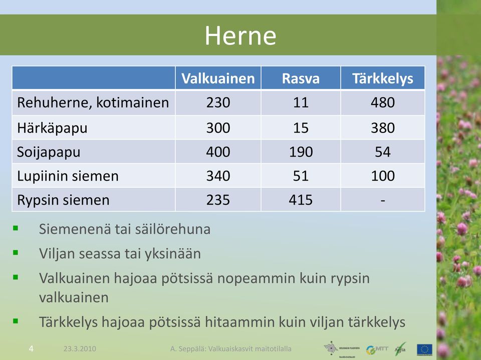 Siemenenä tai säilörehuna Viljan seassa tai yksinään Valkuainen hajoaa pötsissä