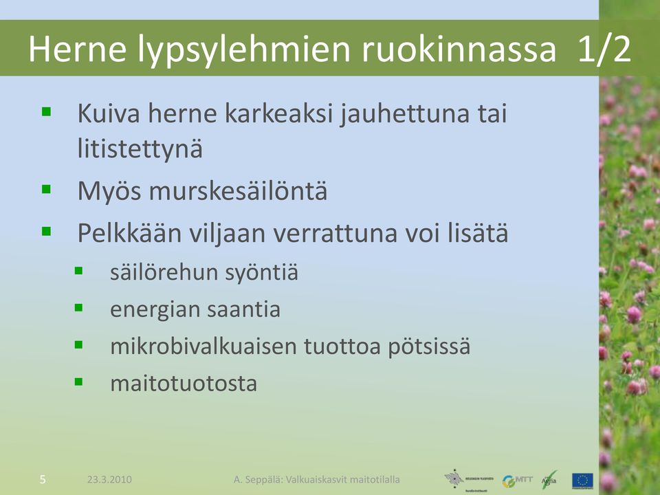 viljaan verrattuna voi lisätä säilörehun syöntiä energian