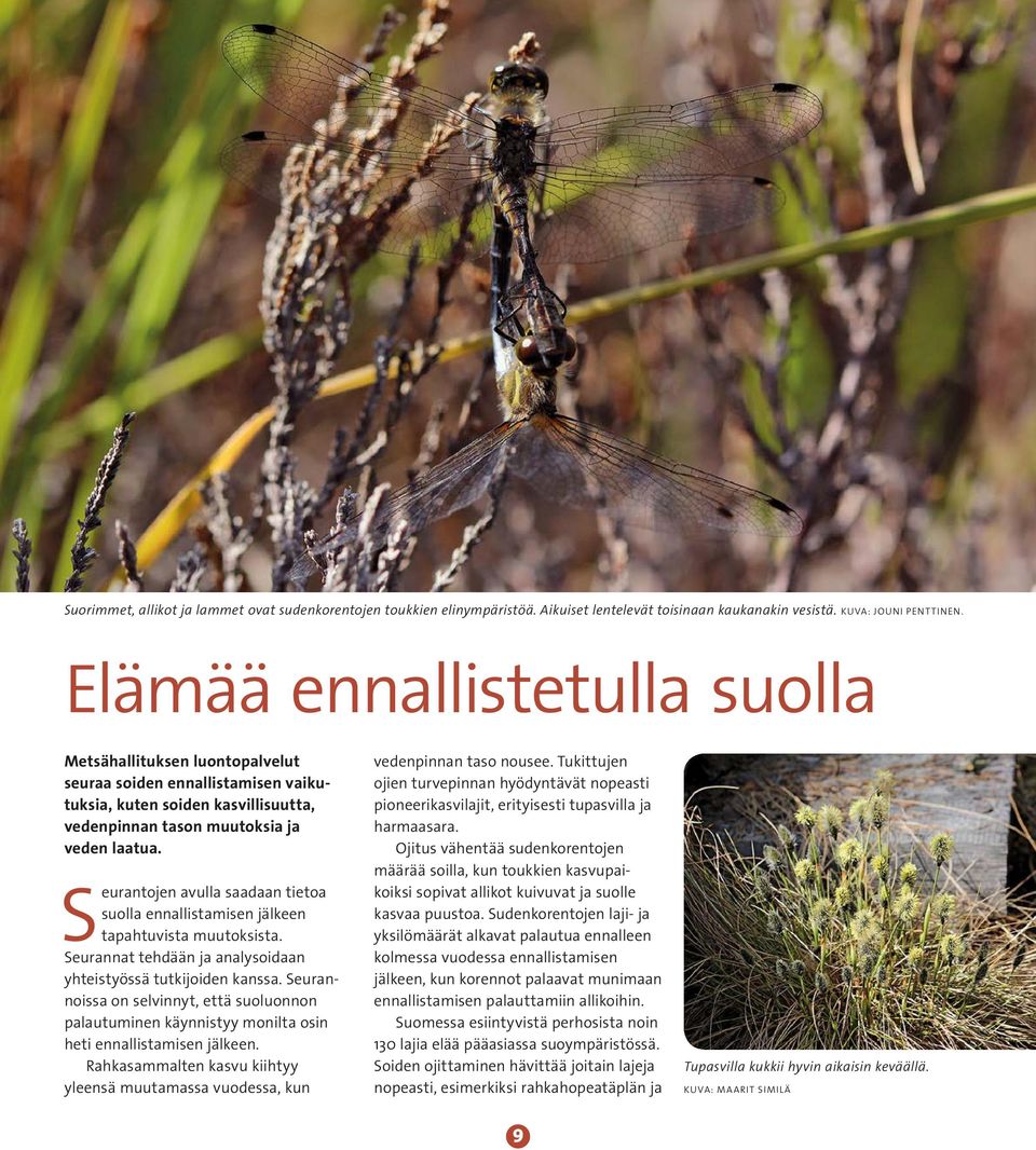 Seurantojen avulla saadaan tietoa suolla ennallistamisen jälkeen tapahtuvista muutoksista. Seurannat tehdään ja analysoidaan yhteistyössä tutkijoiden kanssa.