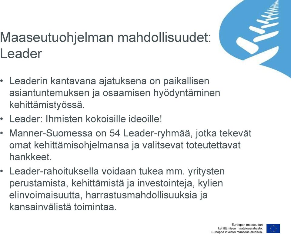 Manner-Suomessa on 54 Leader-ryhmää, jotka tekevät omat kehittämisohjelmansa ja valitsevat toteutettavat hankkeet.