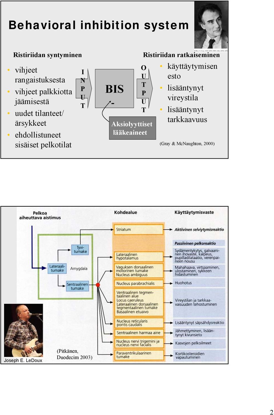 Ristiriidan ratkaiseminen O U T P U T Aksiolyyttiset lääkeaineet käyttäytymisen esto