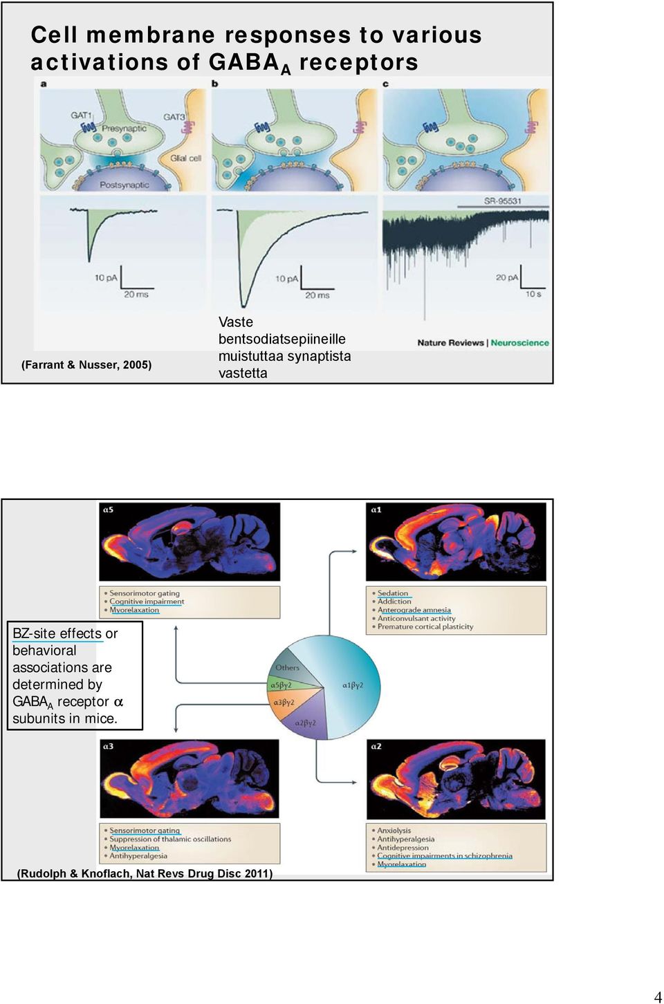 synaptista vastetta BZ-site effects or behavioral associations are