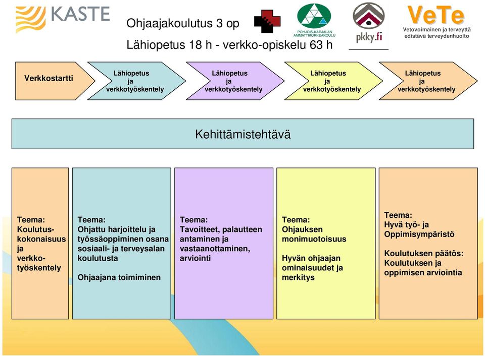työssäoppiminen osana sosiaali- ja terveysalan koulutusta Ohjaajana toimiminen Teema: Tavoitteet, palautteen antaminen ja vastaanottaminen, arviointi