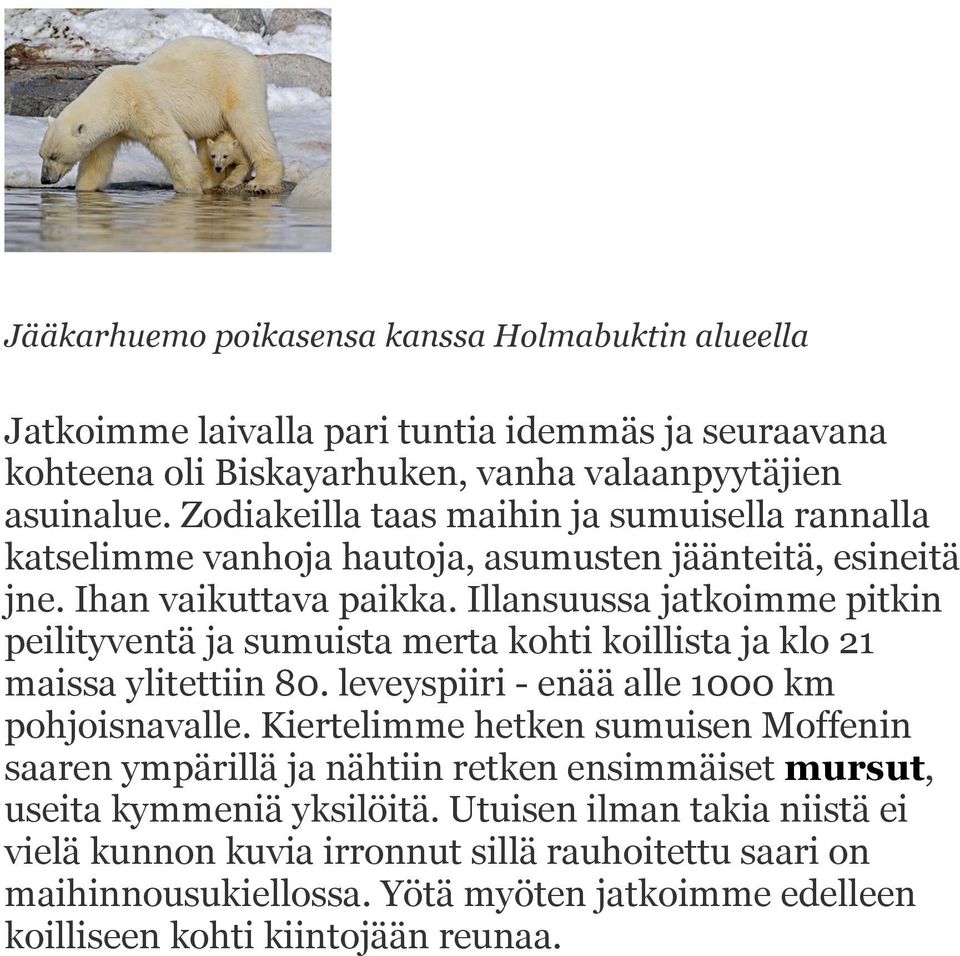 Illansuussa jatkoimme pitkin peilityventä ja sumuista merta kohti koillista ja klo 21 maissa ylitettiin 80. leveyspiiri - enää alle 1000 km pohjoisnavalle.