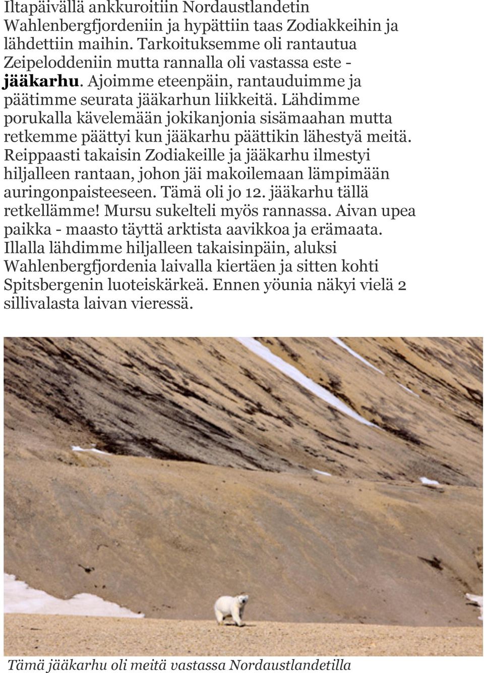 Lähdimme porukalla kävelemään jokikanjonia sisämaahan mutta retkemme päättyi kun jääkarhu päättikin lähestyä meitä.