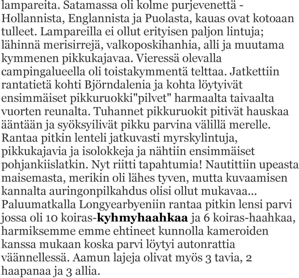 Jatkettiin rantatietä kohti Björndalenia ja kohta löytyivät ensimmäiset pikkuruokki"pilvet" harmaalta taivaalta vuorten reunalta.