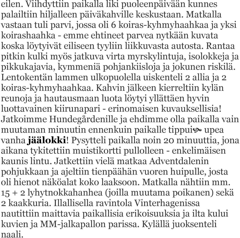 Rantaa pitkin kulki myös jatkuva virta myrskylintuja, isolokkeja ja pikkukajavia, kymmeniä pohjankiisloja ja jokunen riskilä.