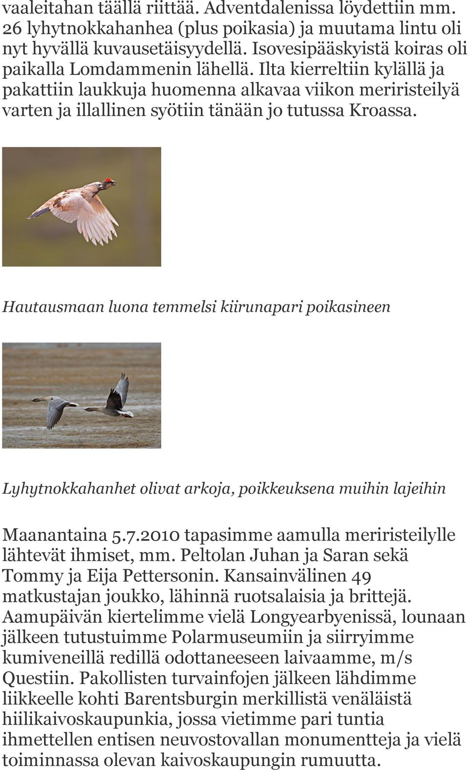 Hautausmaan luona temmelsi kiirunapari poikasineen Lyhytnokkahanhet olivat arkoja, poikkeuksena muihin lajeihin Maanantaina 5.7.2010 tapasimme aamulla meriristeilylle lähtevät ihmiset, mm.