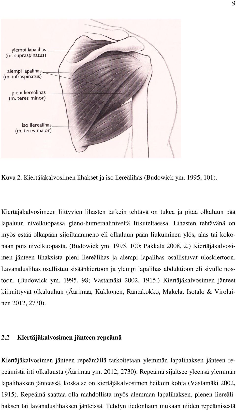 Lihasten tehtävänä on myös estää olkapään sijoiltaanmeno eli olkaluun pään liukuminen ylös, alas tai kokonaan pois nivelkuopasta. (Budowick ym. 1995, 100; Pakkala 2008, 2.