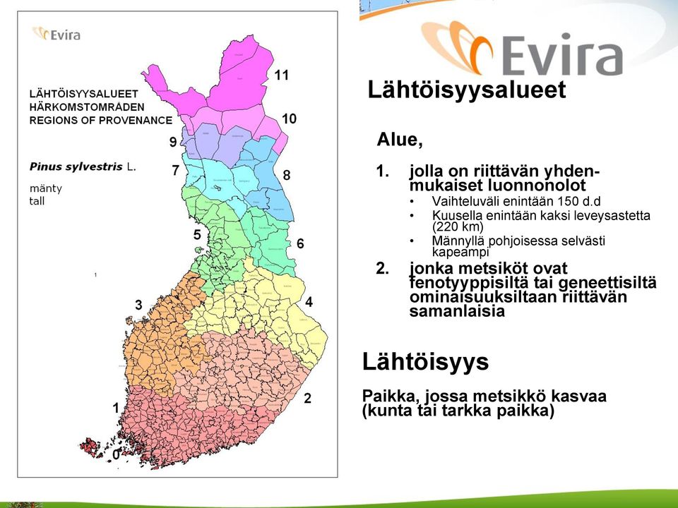 d Kuusella enintään kaksi leveysastetta (220 km) Männyllä pohjoisessa selvästi kapeampi