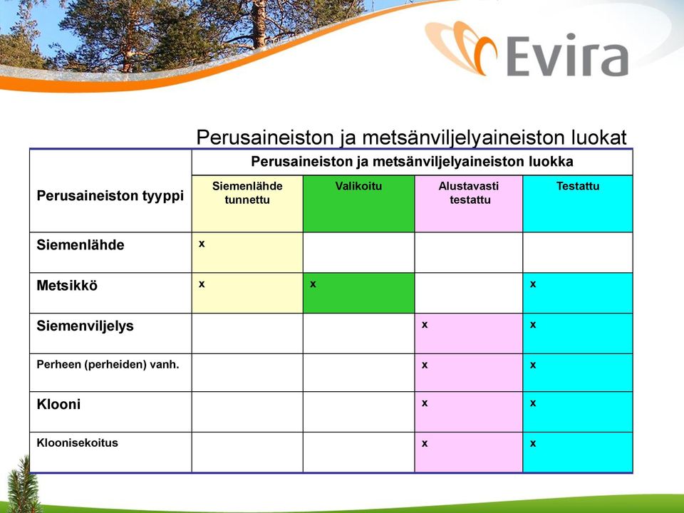 tunnettu Valikoitu Alustavasti testattu Testattu Siemenlähde x Metsikkö